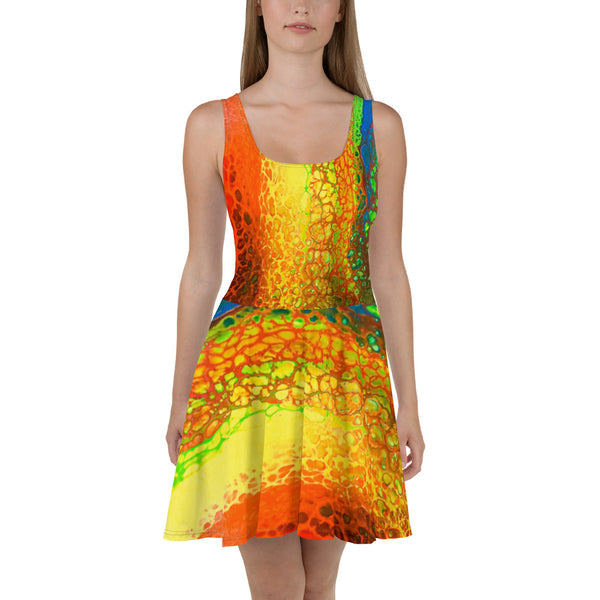 Sliding Rainbow Skater Dress